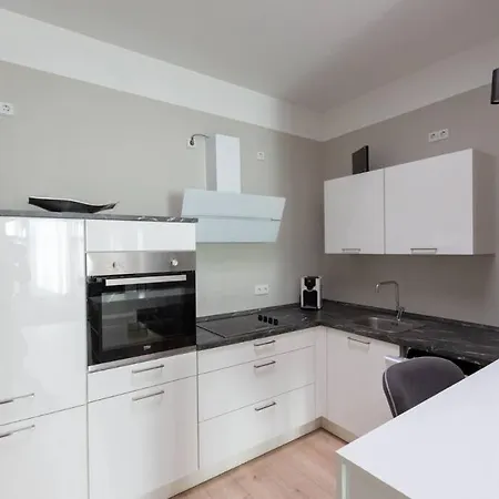 Apartment Zwei Lofts In Kulturdenkmal Naehe Zentrum Leipzig